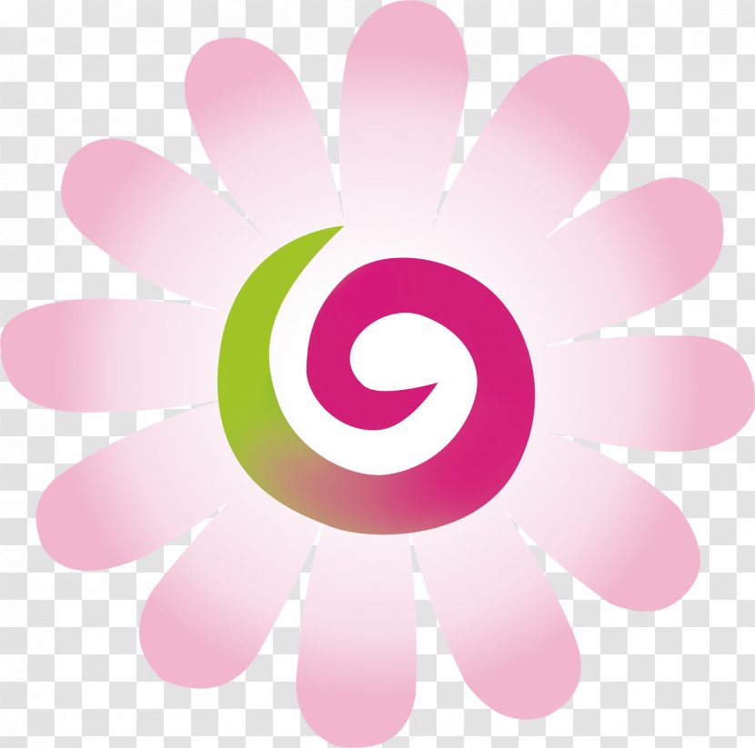 Flower Petal Desktop Wallpaper Magenta Font - Gerbera Transparent PNG