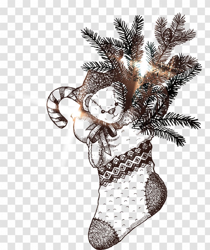 Christmas Sock Drawing Hosiery - Tree Transparent PNG