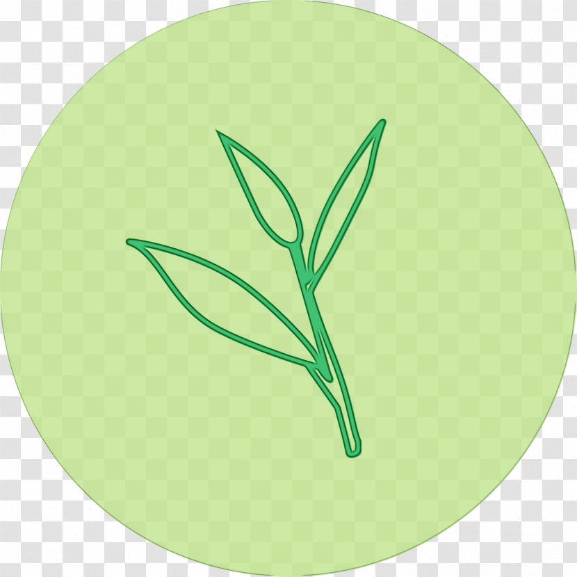 Green Leaf Watercolor - Plant - Flower Logo Transparent PNG