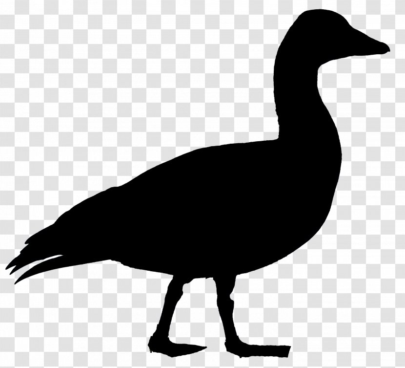 Goose Duck Bird Waterfowl Anatidae - Silhouette Transparent PNG