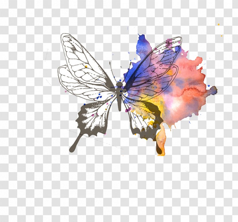 Odd And Imperfect Paper Book Cover Author - Butterfly Transparent PNG