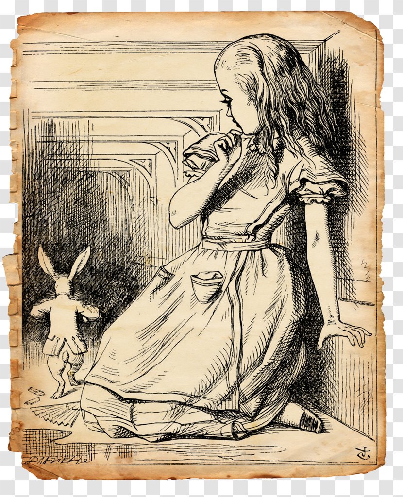 Alice's Adventures In Wonderland White Rabbit Cheshire Cat Mock Turtle - Visual Arts - Caterpillar Transparent PNG