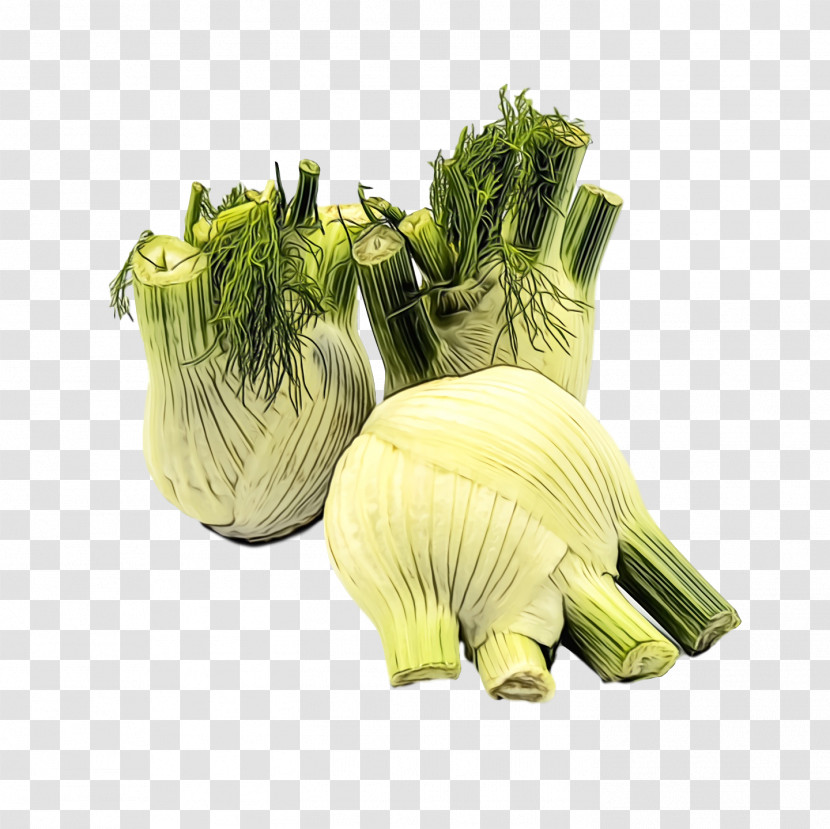 Fennel Leaf Vegetable Herb Transparent PNG