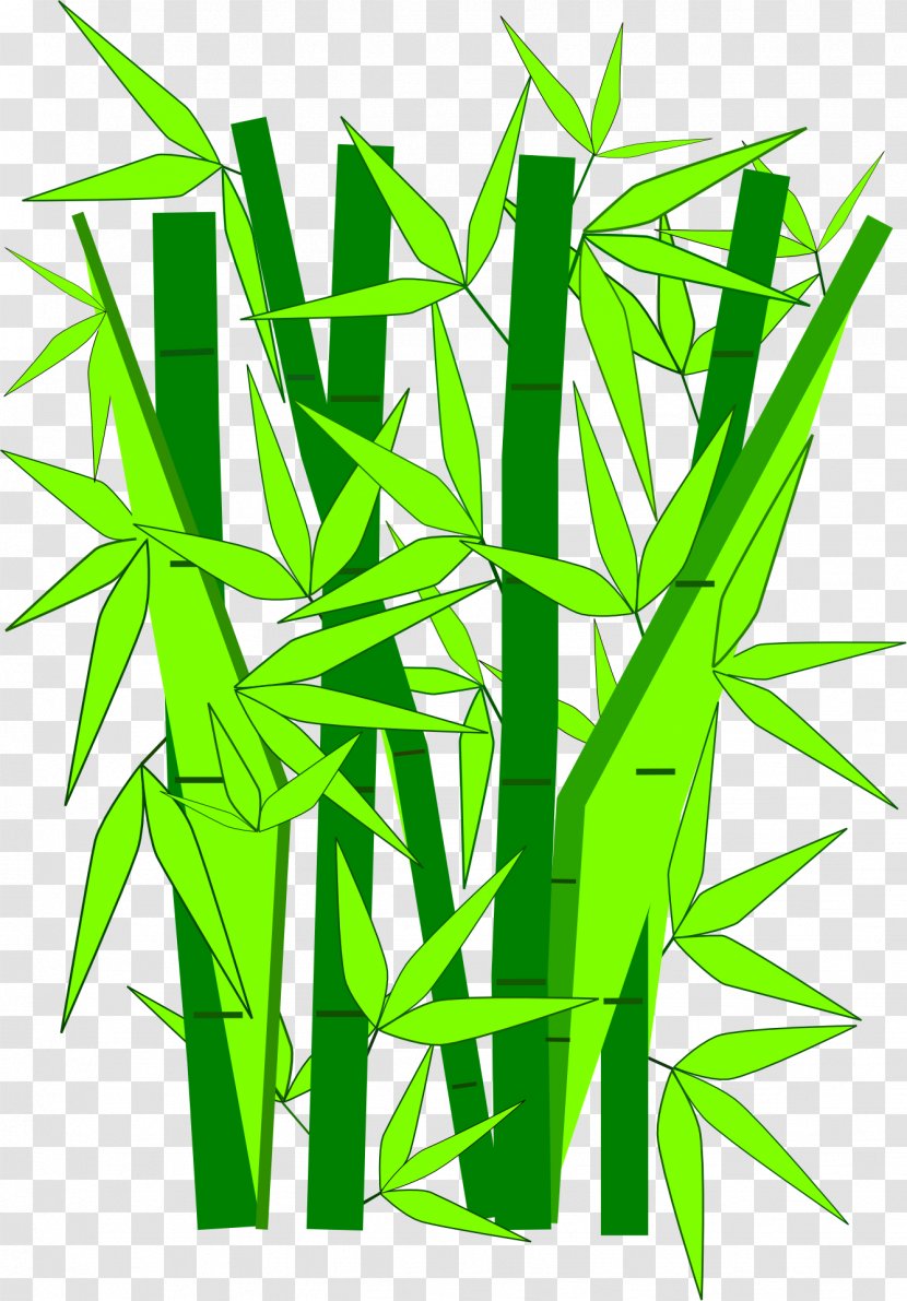 Giant Panda Bamboo Clip Art - Royaltyfree - Green Transparent PNG