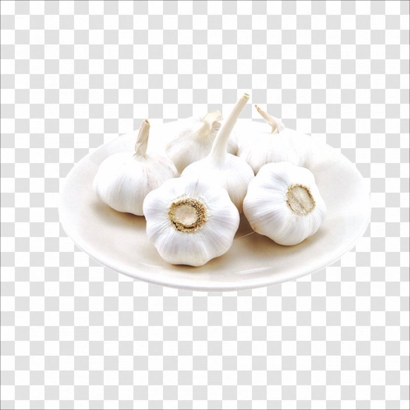 Solo Garlic Food Press Cooking Vegetable - Health - Fresh Transparent PNG