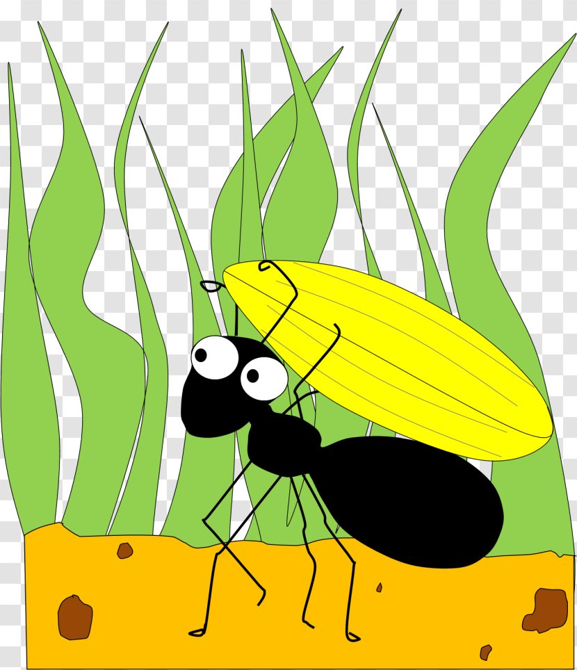 The Ant And Grasshopper Clip Art - Queen - Cartoon Ants Cliparts Transparent PNG