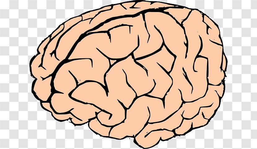 Brain Thumbnail Clip Art - Cartoon - Active Cliparts Transparent PNG