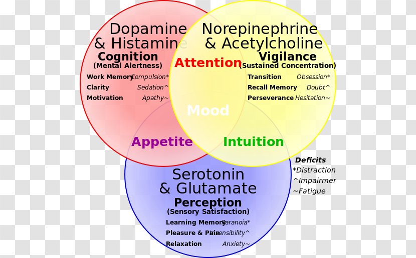 Neurotransmitter Serotonin–norepinephrine–dopamine Reuptake Inhibitor - Brain Transparent PNG