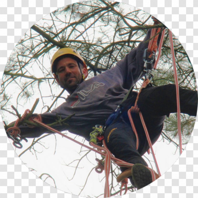 L'Arbonambule Recreation Tree Climbing Rope - Need - Julien Transparent PNG