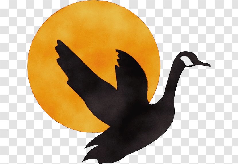 Bird Outline - Wing - Cormorant Cranelike Transparent PNG