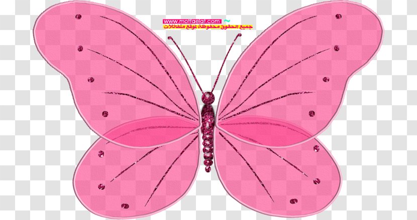 Blingee Photobucket - Butterfly - Pollinator Transparent PNG