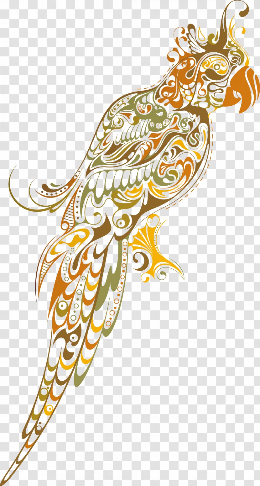 Parrot Drawing Photography - White Transparent PNG