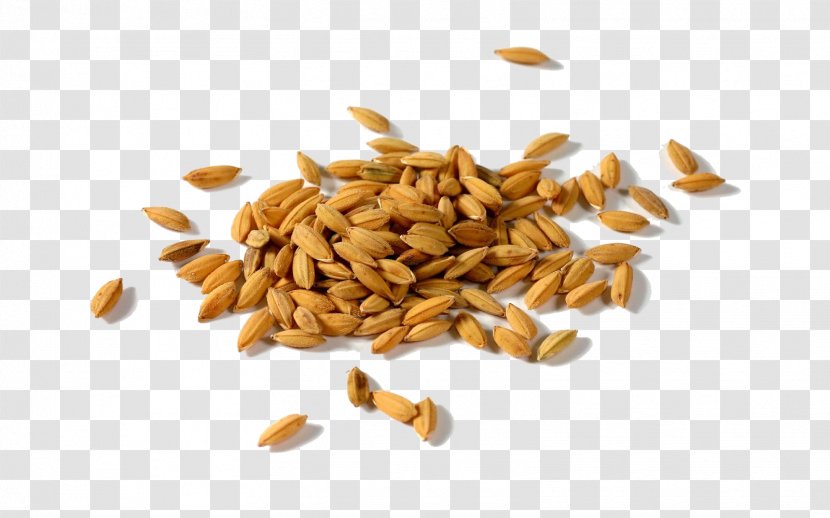 Rice Gadu Paddy Field Seed Huller - Wheat Transparent PNG