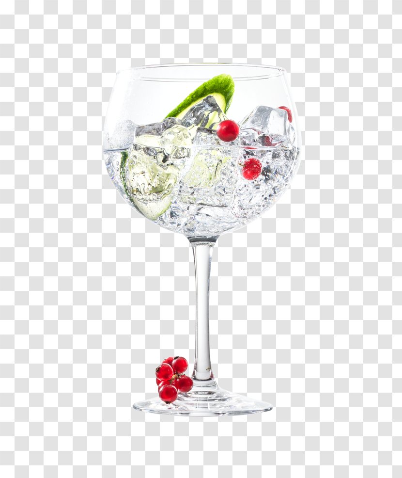 Gin And Tonic Cocktail Garnish Martini - Champagne Stemware - Hand-painted Fresh Spices Transparent PNG