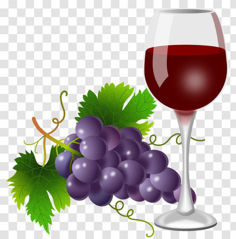 Red Wine Grape Clip Art Cabernet Sauvignon - Vine Wall Transparent PNG
