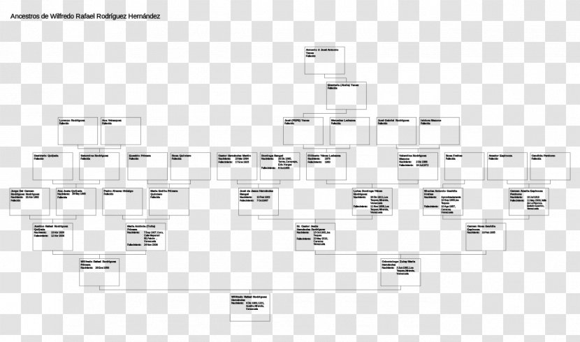 Public Domain Licence CC0 Copyright Creative Commons Wikimedia - Frame - Family Tree Transparent PNG