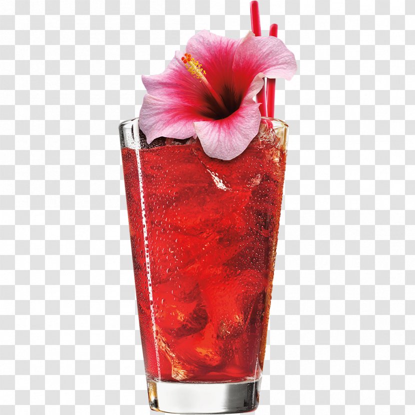 Juice Sorbet Cocktail Garnish Woo Sea Breeze - Passion Fruit Transparent PNG