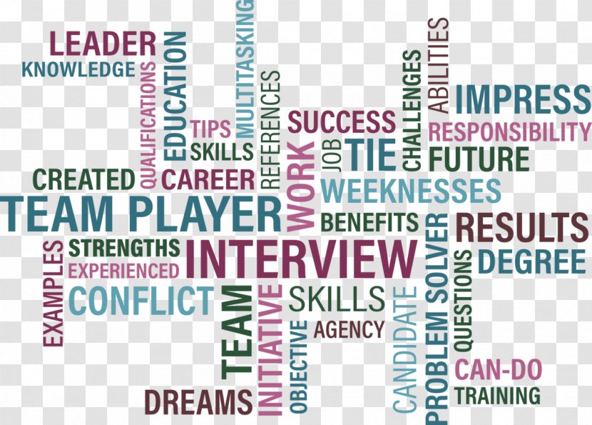 Human Resource Management Verb Résumé Career Teamwork - Infographic CV Transparent PNG