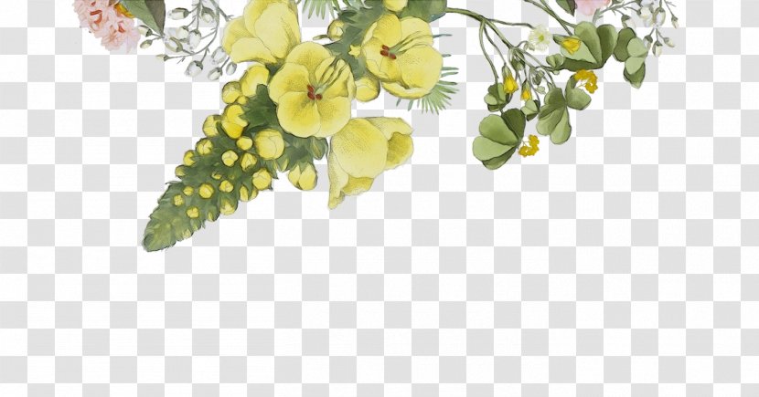 Flower Plant Yellow Flowering Branch - Blossom Petal Transparent PNG