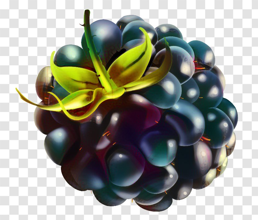 Raspberry Berries Blackberry Mulberry Fruit - Toy - Berry Transparent PNG