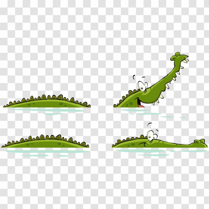 Crocodile Royalty-free Clip Art - Organism - Vector Transparent PNG