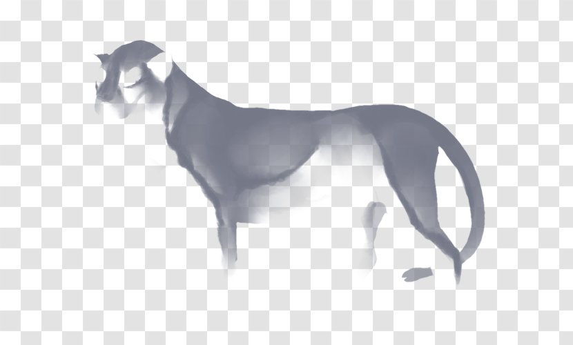 Whippet Dog Breed Italian Greyhound Felidae Cheetah - Lion Transparent PNG