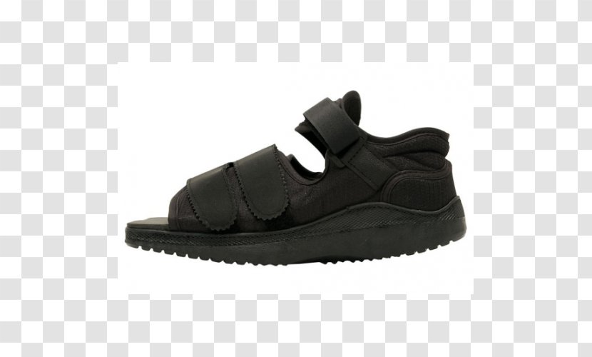 Sneakers Air Jordan Shoe Nike Footwear - Physical Therapy Of Tcm Transparent PNG