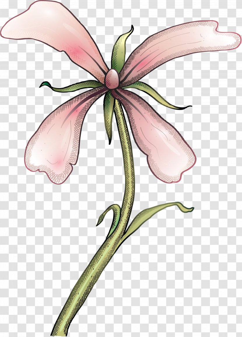 Cut Flowers Floral Design Petal Clip Art - Flower Transparent PNG
