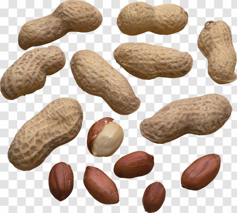Peanut Production In China Food - Nut - Fruit Transparent PNG