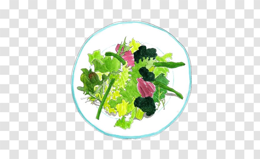 Spring Greens Bean Salad Vegetable Illustration - Herb Transparent PNG