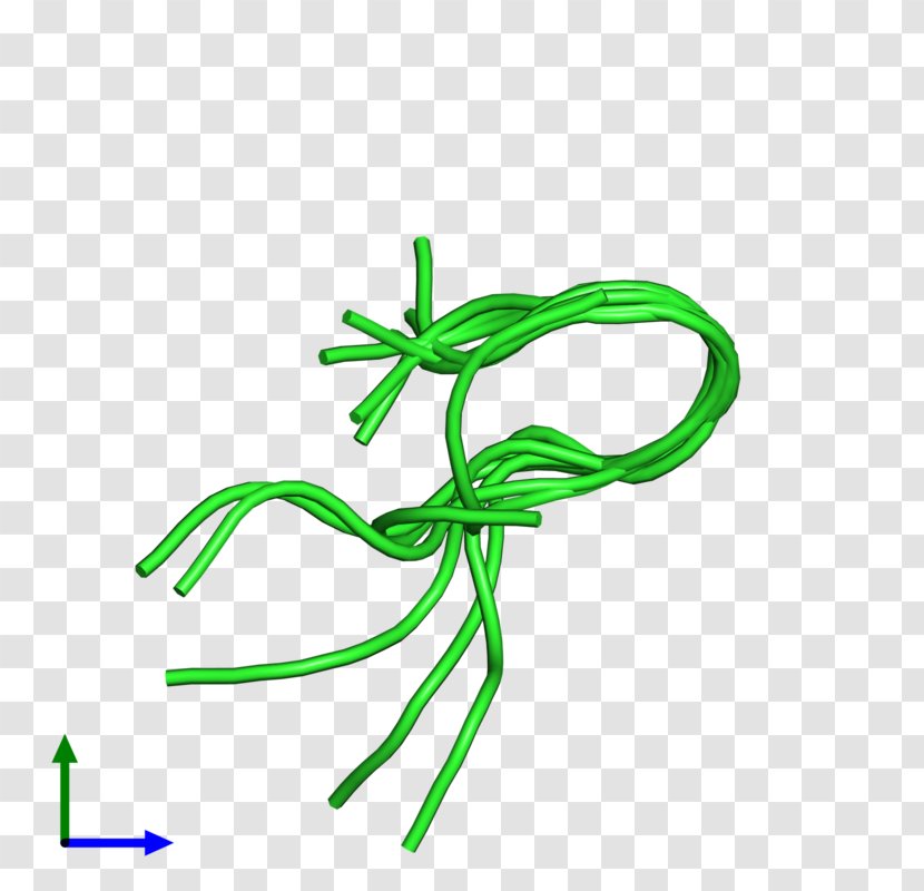 Leaf Plant Stem Green Flower Clip Art - Grass Transparent PNG