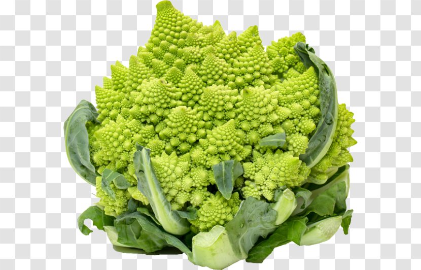 Romanesco Broccoli Cauliflower Broccoflower Spring Greens - Fractal Transparent PNG