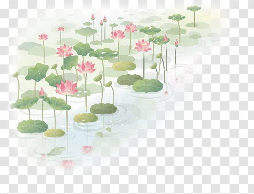 Wall Decal Flower Nelumbo Nucifera Clip Art - Hand-painted Lotus Transparent PNG