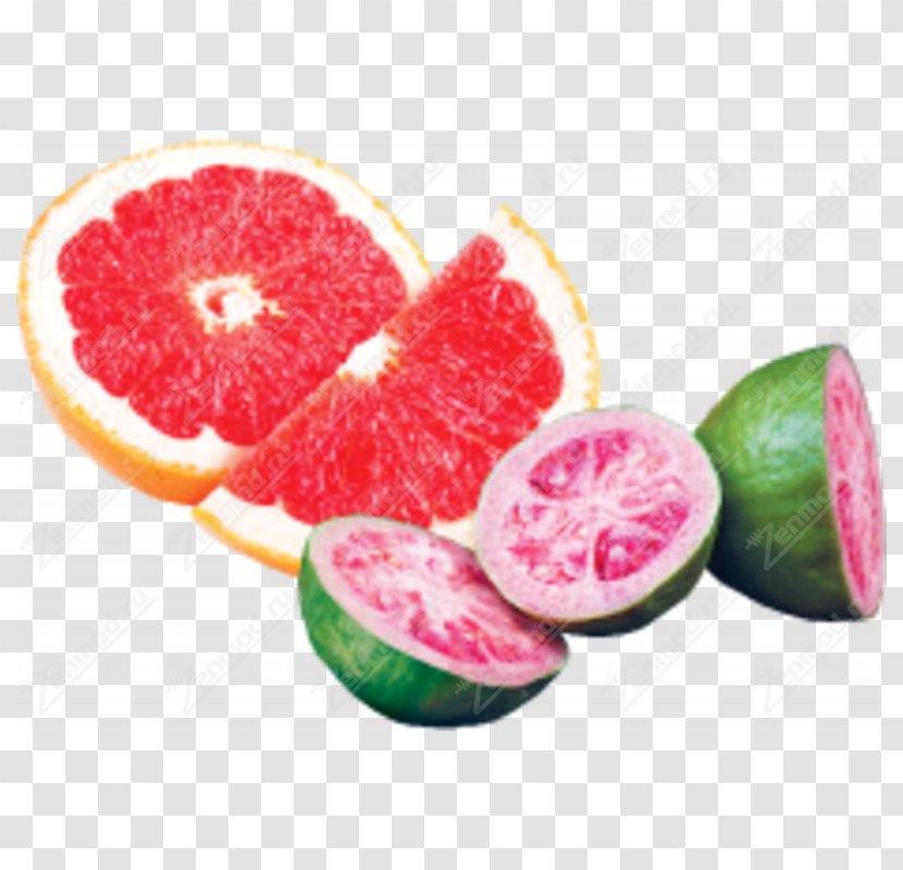 Lime Blood Orange Grapefruit Sorbet Food - Guava Transparent PNG