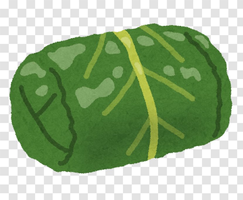 Leaf - Green Transparent PNG