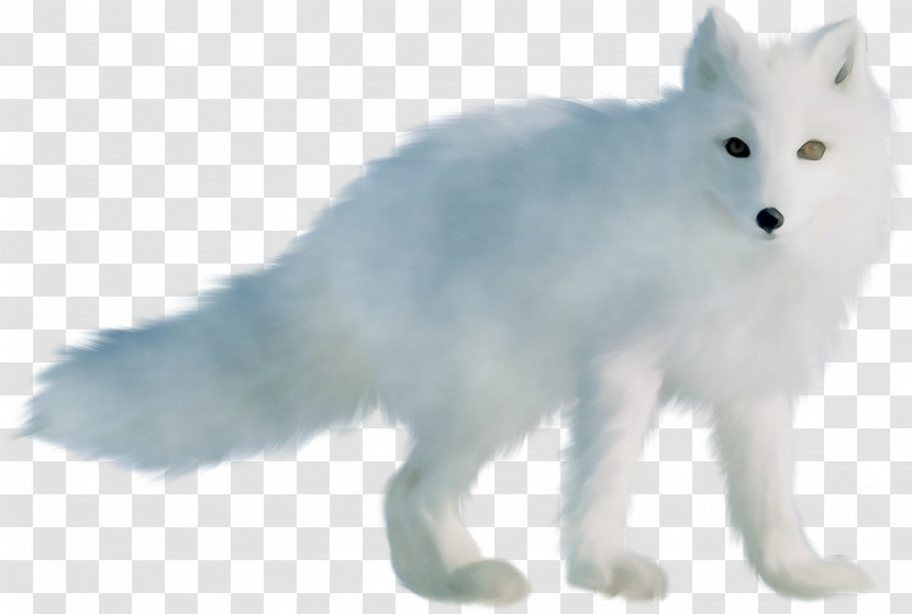 Arctic Fox Animal Figure Fox Snout Tail Transparent PNG