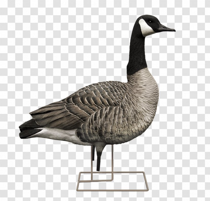 Canada Goose Decoy Hunting - Watercolor - Xylophone Transparent PNG