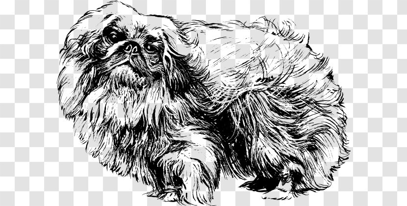 Pekingese Shih Tzu Papillon Dog Pomeranian Lhasa Apso - Carnivoran - Samoyed Transparent PNG