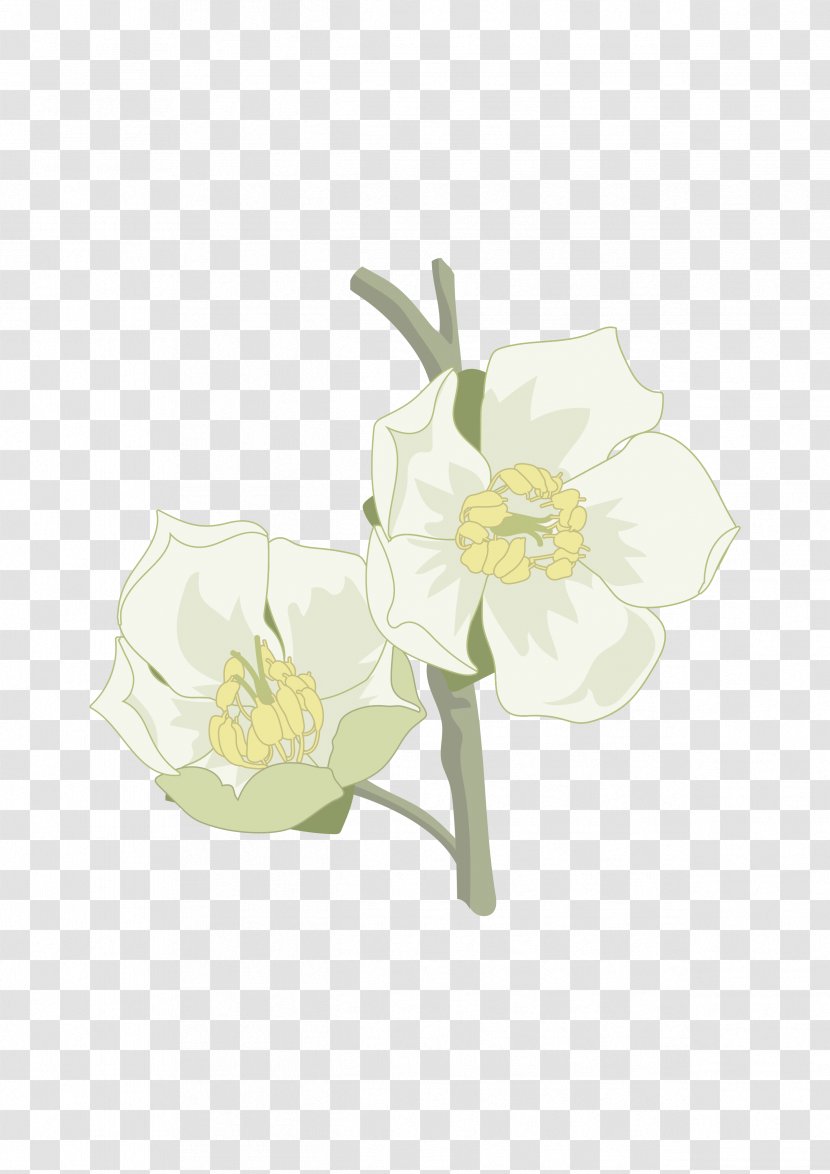 Cut Flowers Floral Design Plant Stem - Flora - Flor Transparent PNG