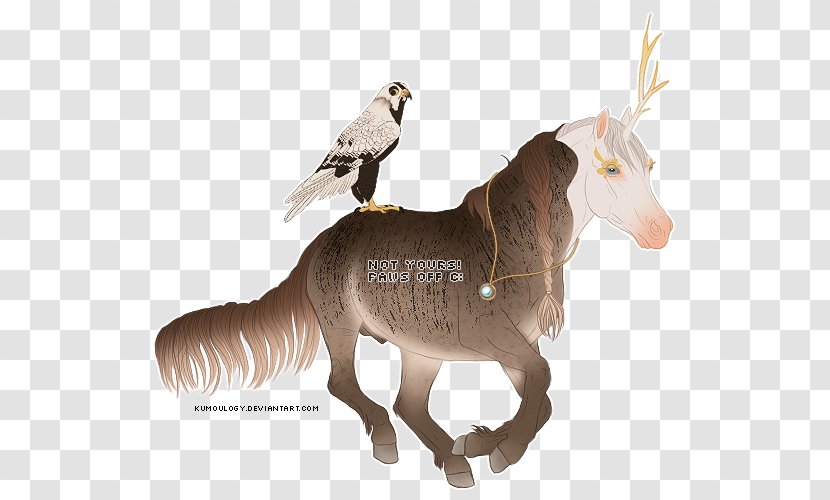 Mule Mustang Donkey Rein Goat - Pack Animal Transparent PNG