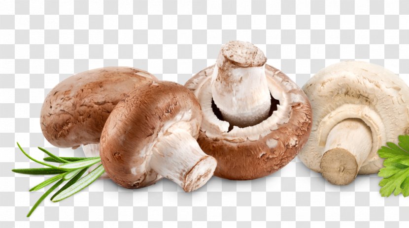 Common Mushroom Leigh Syndrome Food Thiamine Disease - Vitamin Transparent PNG