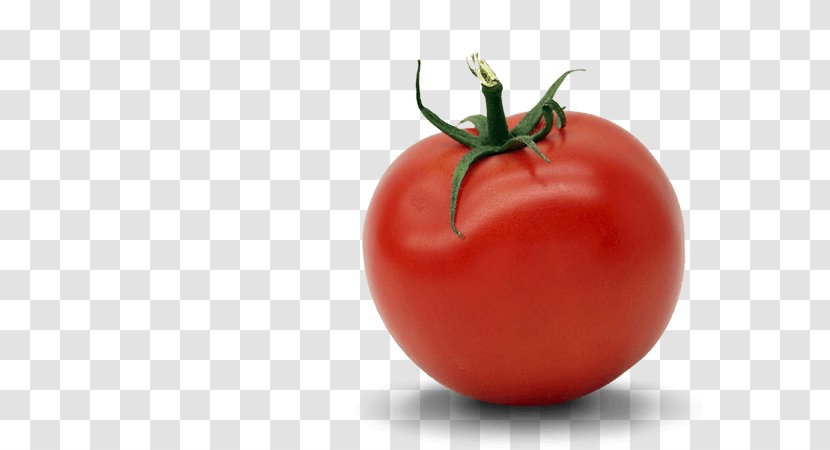 Plum Tomato Bush Natural Foods - Vegetable - Red Tomatoes Transparent PNG
