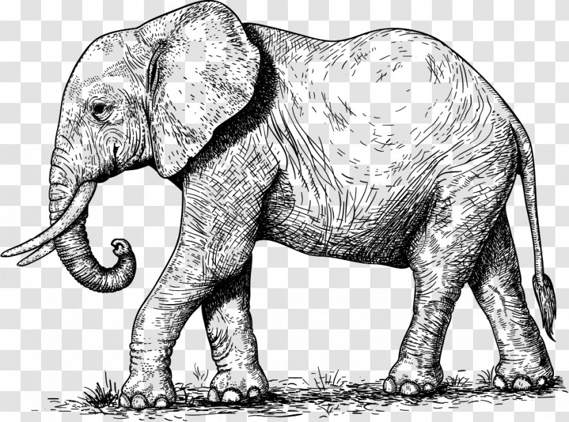 Stock Photography Elephant Clip Art - Animal Figure Transparent PNG