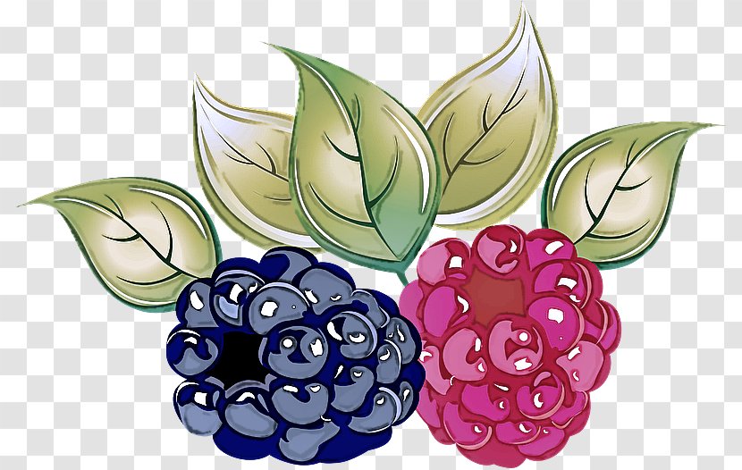 Berry Fruit Plant Blackberry Grape - Food - Rubus Flower Transparent PNG