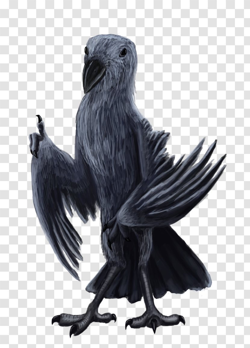 American Crow Common Raven Eagle Vulture Beak - Wing Transparent PNG