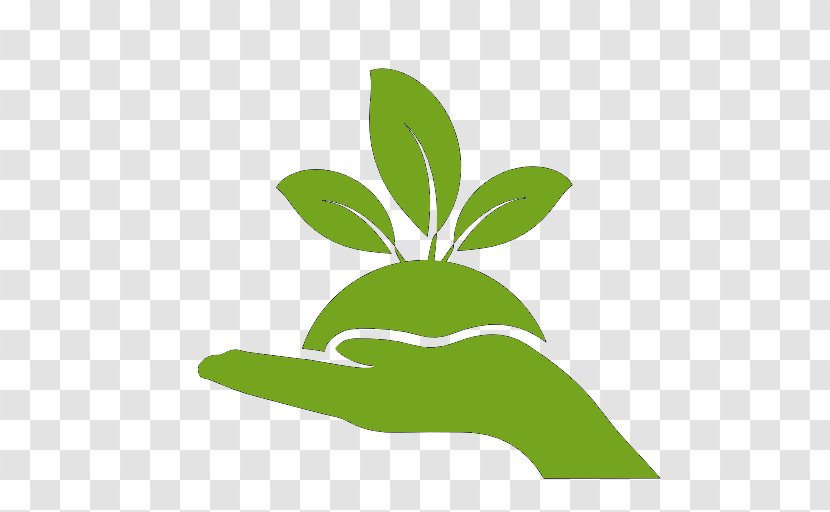 Waste Management - Organization - Plant Stem Transparent PNG