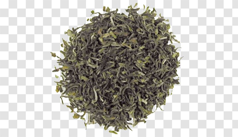 Nilgiri Tea Biluochun Earl Grey Oolong - Pu Erh - Assam Transparent PNG