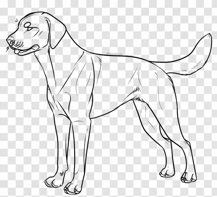 Dog Breed Labrador Retriever Line Art Harness Collar - Organism Transparent PNG