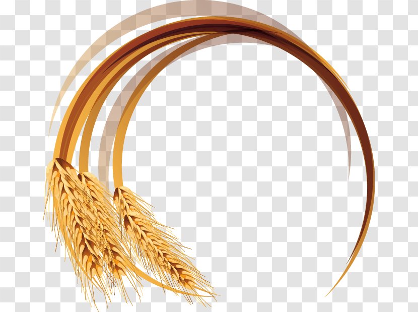 Wheat Euclidean Vector - Commodity - Hand-painted Transparent PNG