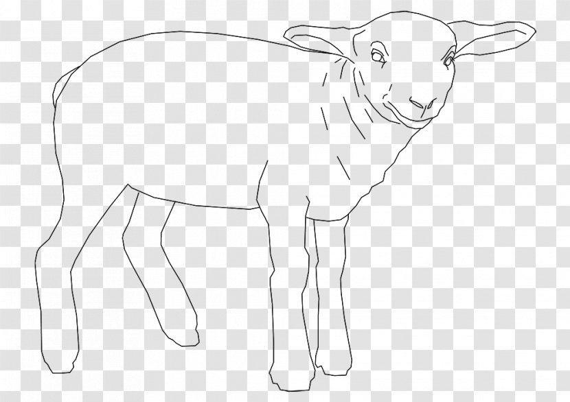 Sheep Goat /m/02csf Cattle Line Art - Like Mammal Transparent PNG